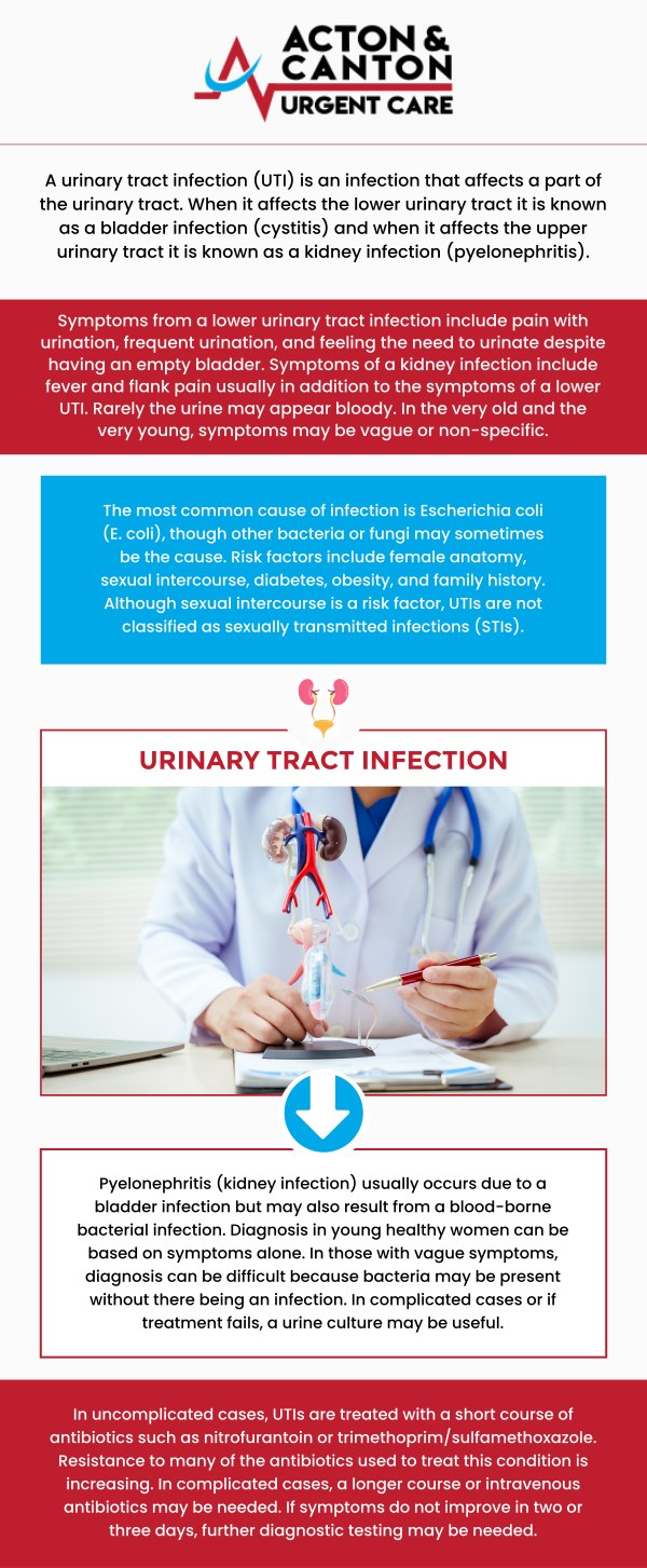 If you're experiencing symptoms of a urinary tract infection (UTI), Acton and Canton Urgent Care offers quick, reliable treatment to help alleviate discomfort and prevent further complications. Muhammad Bajwa, MD, and his experienced team provide thorough evaluations, accurate testing, and effective treatment options tailored to your needs. To manage your UTI and ensure a smooth recovery, contact us or schedule an appointment online. We are located at 95 Washington St, Ste 204 A, Canton, MA 02021. If you're experiencing symptoms of a urinary tract infection (UTI), Acton and Canton Urgent Care offers quick, reliable treatment to help alleviate discomfort and prevent further complications. Muhammad Bajwa, MD, and his experienced team provide thorough evaluations, accurate testing, and effective treatment options tailored to your needs. To manage your UTI and ensure a smooth recovery, contact us or schedule an appointment online. We are located at 95 Washington St, Ste 204 A, Canton, MA 02021.